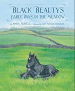 Black Beauty's Early Days in the Meadow