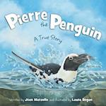 Pierre the Penguin