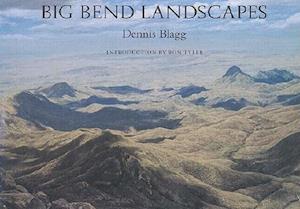 Big Bend Landscapes