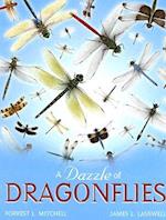 A Dazzle of Dragonflies