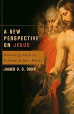 New Perspective on Jesus (Acadia Studies in Bible and Theology)