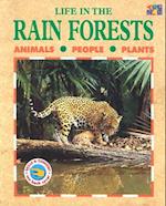 Life in the Rainforests