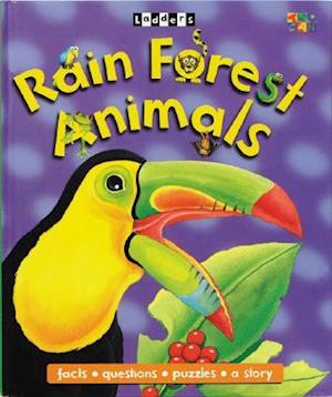 Rain Forest Animals