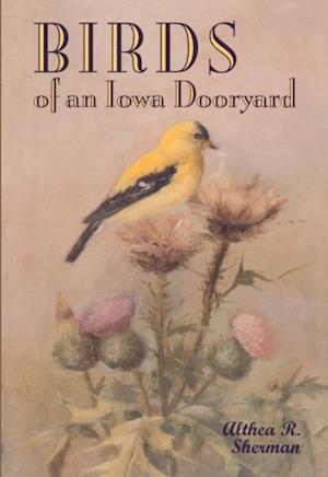 Birds of an Iowa Dooryard