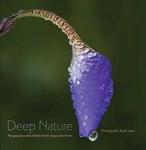 Deep Nature