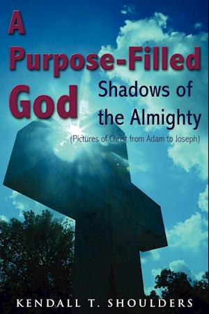 A Purpose-Filled God