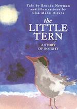 The Little Tern