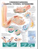 Understanding Carpal Tunnel Syndrome Anatomical Chart