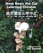 How Beau the Cat Learned Chinese