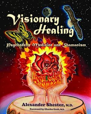 VISIONARY HEALING Psychedelic Medicine and Shamanism