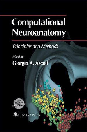 Computational Neuroanatomy