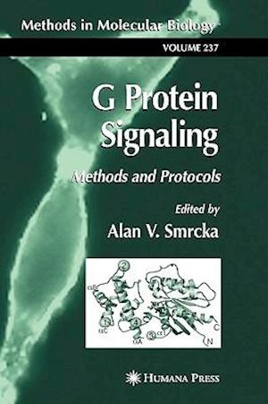 G Protein Signaling