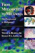 From Melanocytes to Melanoma