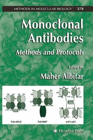 Monoclonal Antibodies