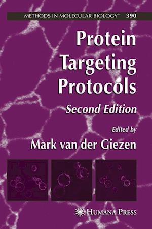 Protein Targeting Protocols