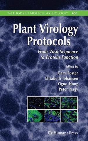 Plant Virology Protocols