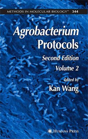 Agrobacterium Protocols