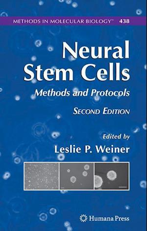 Neural Stem Cells