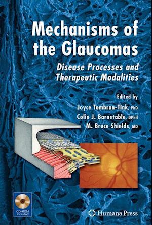 Mechanisms of the Glaucomas