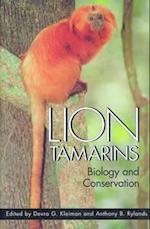 Lion Tamarins
