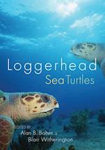 Loggerhead Sea Turtles