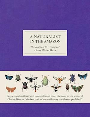 A Naturalist in the Amazon
