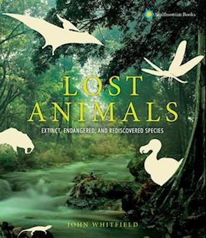 Lost Animals