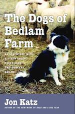 Dogs of Bedlam Farm