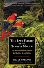 Last Flight of the Scarlet Macaw