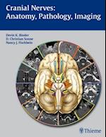 Cranial Nerve: Anatomy, Pathology, Imaging