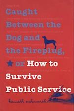 Caught Between the Dog and the Fireplug, or How to Survive Public Service