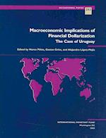 Macroeconomic Implications of Financial Dollarization