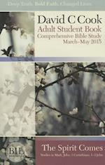 Bible-In-Life Adult Comprehensive Bible Study