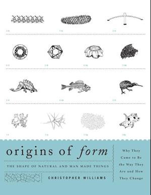 Origins of Form