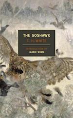 Goshawk