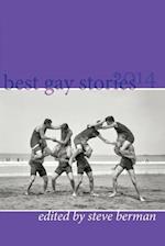 Best Gay Stories 2014