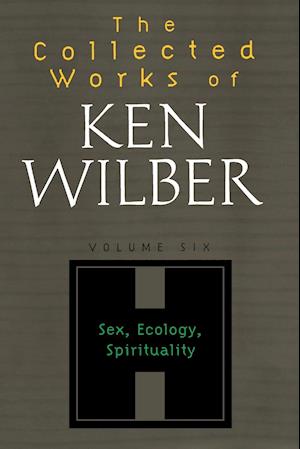 The Collected Works of Ken Wilber, Volume 6
