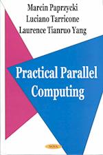 Practical Parallel Computing