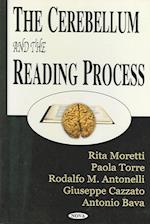 Cerebellum & the Reading Process