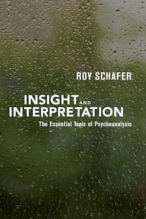 Insight and Interpretation