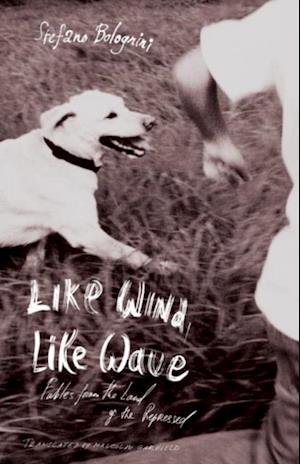 Like Wind, Like Wave