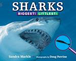 Sharks: Biggest! Littlest!