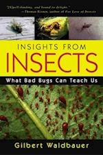 Insights from Insects