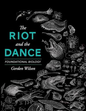 The Riot and the Dance