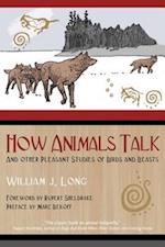 How Animals Talk