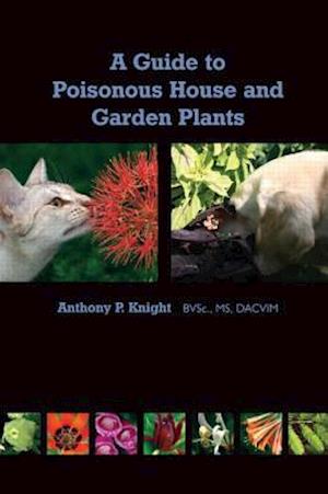 A Guide to Poisonous House and Garden Plants