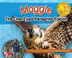 Maggie the One-Eyed Peregrine Falcon