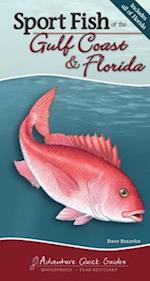 Sport Fish of the Gulf Coast & Florida