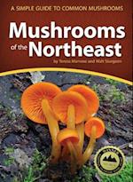 Mushrooms of the Northeast