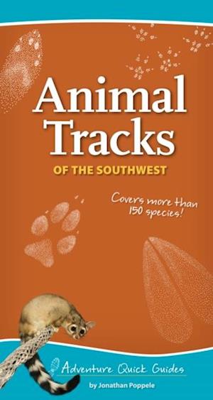 Animal Tracks of the Southwest